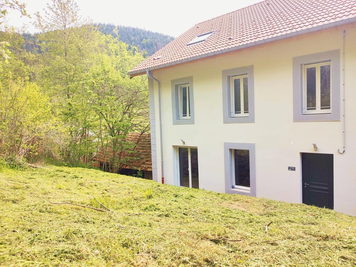 ⁂⁂ Le Grand Duc Appartement Cledicihome / Magnifique Vue Sur Les Montagnes / 4 Kms De Gerardmer ! ⁂⁂ Rochesson Exterior foto